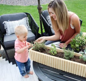 How to Build a Modern Herb Garden Planter