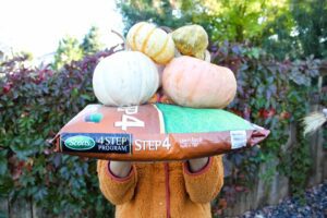 My Secret for Getting the Best Lawn on the Street