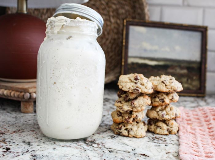 Sourdough Discard Chocolate Chip Cookies Recipe - Project Whim